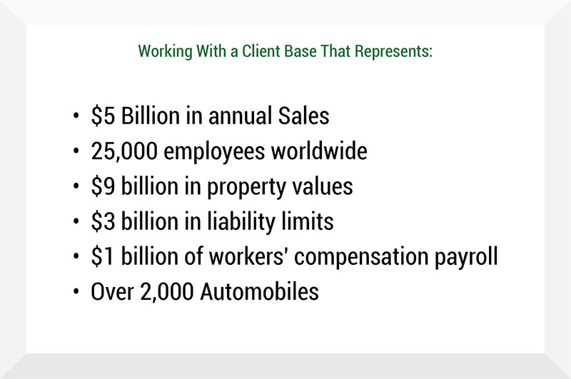 Client Base Representation Chart - Insurance Management Company Client Base Representation Chart - Insurance Management Company