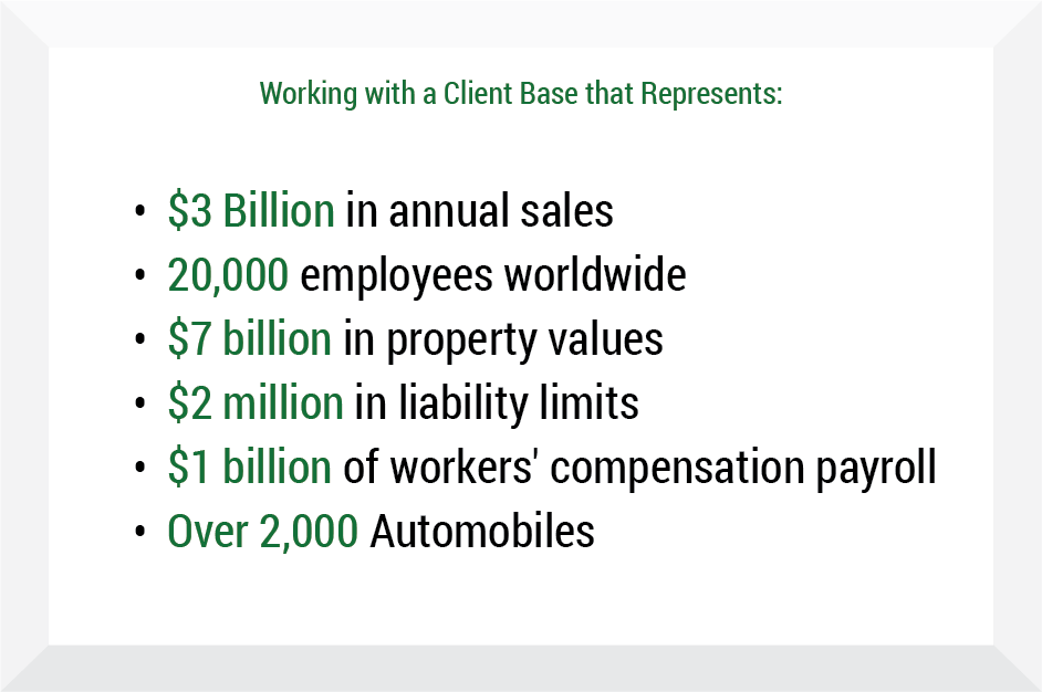 Client Base Representation Chart - Insurance Management Company